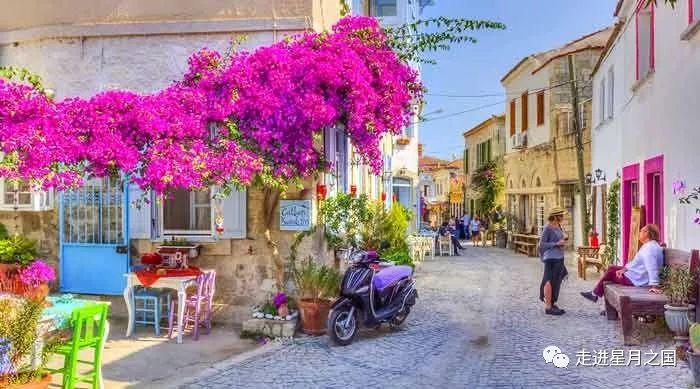 土耳其希腊爱琴海,希腊去土耳其多远