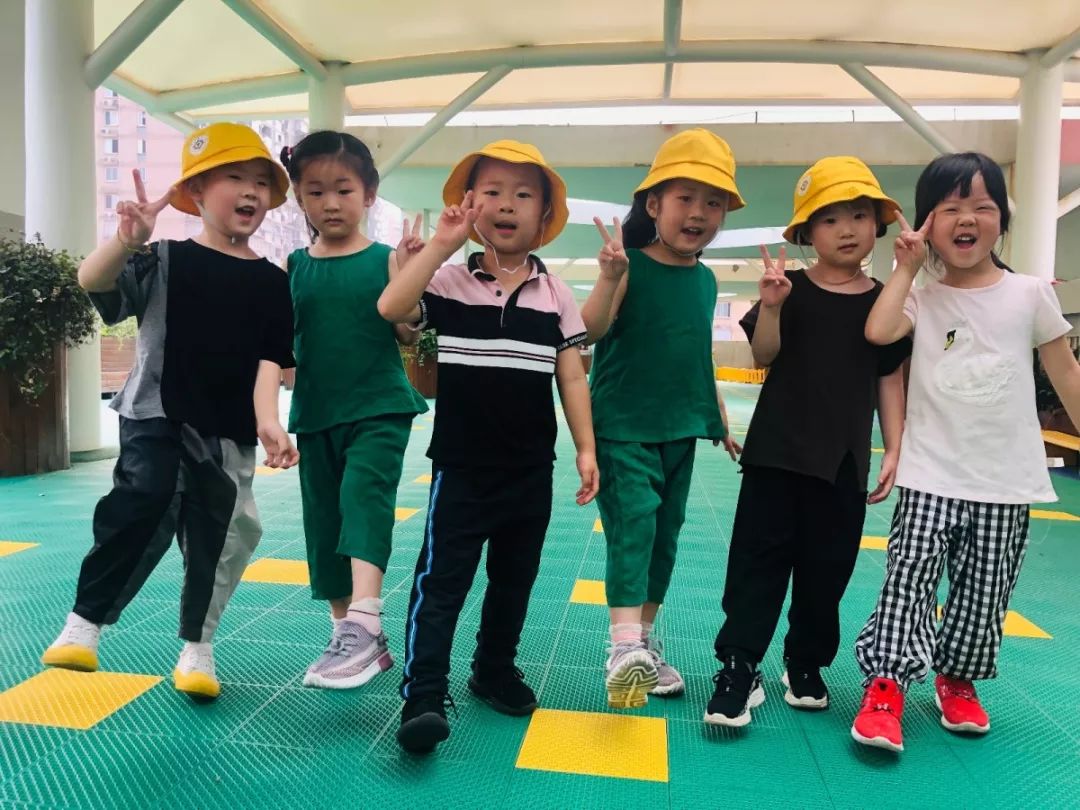 百合花课程,百合花课堂导入