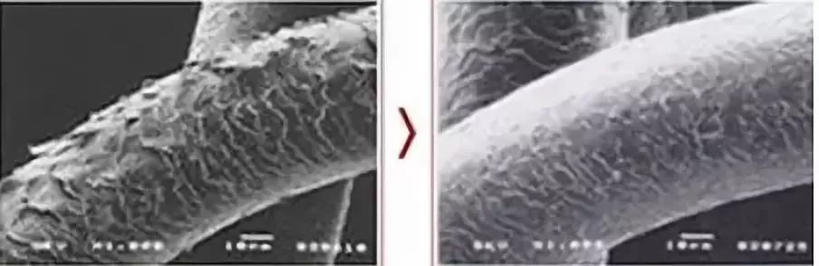 团|你的头发一根都不许掉!用它,还能3天不洗头依然干爽不油腻