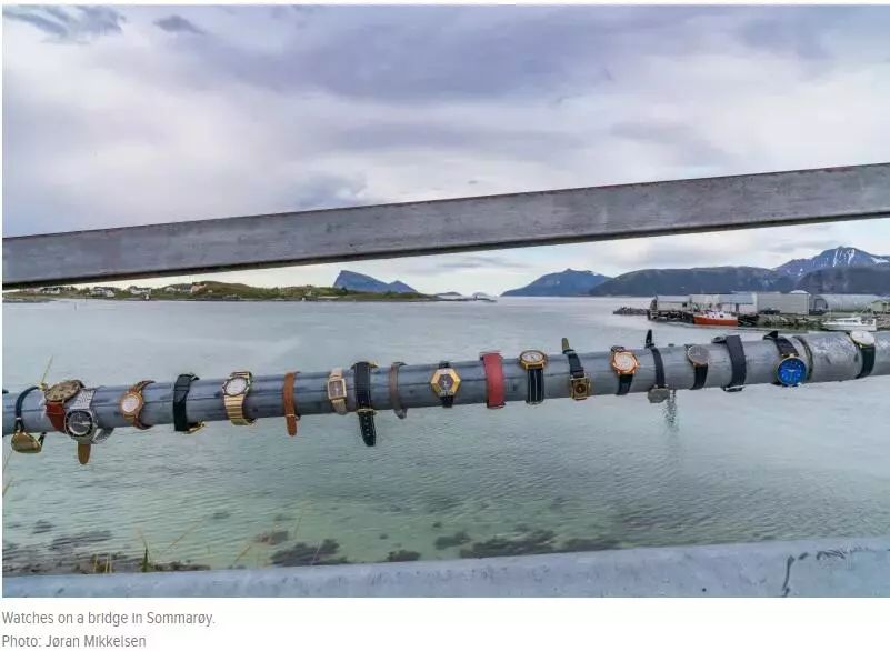 夏日无尽全文,夏日无尽后续