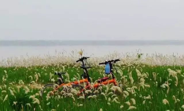 郑州湿地公园有啥好玩的,郑州周边的这七大湿地公园