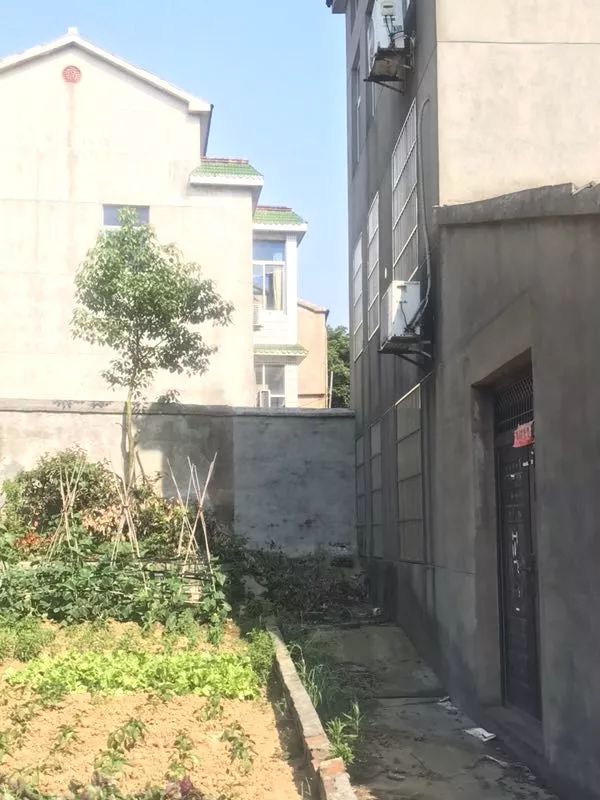 冰柜藏尸案死者妈妈发声,冰柜藏尸案死者母亲公布聊天记录