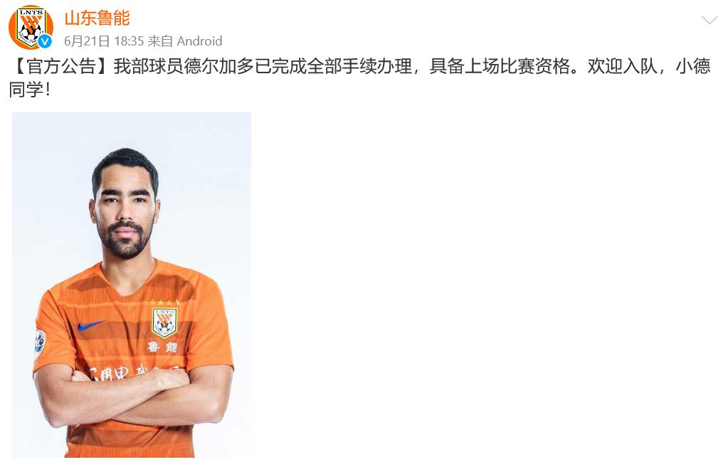 鲁能德尔加多资料,鲁能德尔加多回济南了吗