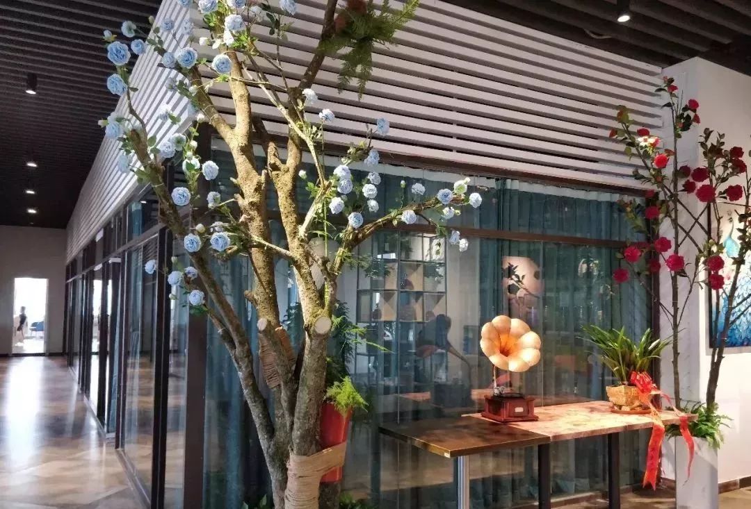 广西桂林妹子相亲视频,桂林女人相亲视频