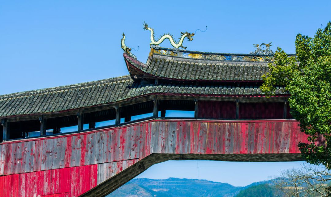 宁德地区国字号,宁德有哪些地方有国字号