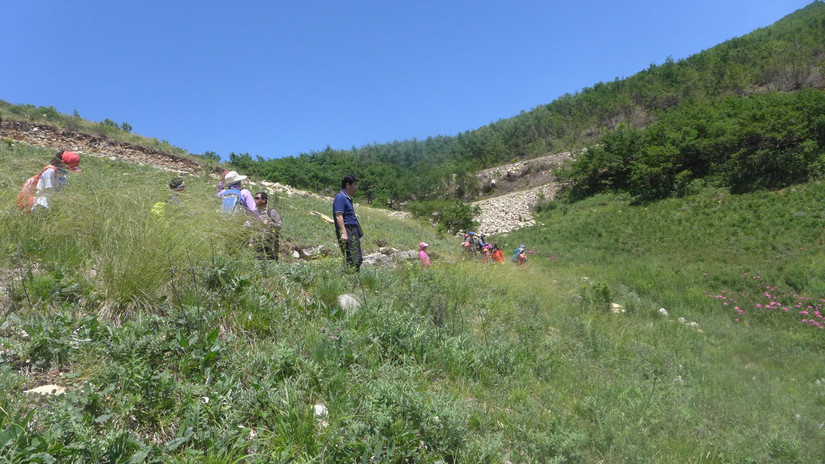 美丽芍药谷,云雾缭绕人间仙境芍药谷