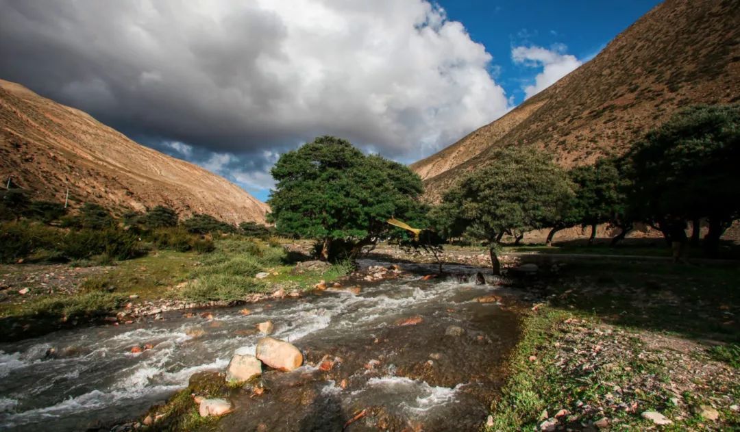 山南在哪里买手机,山南在哪里卖黄金