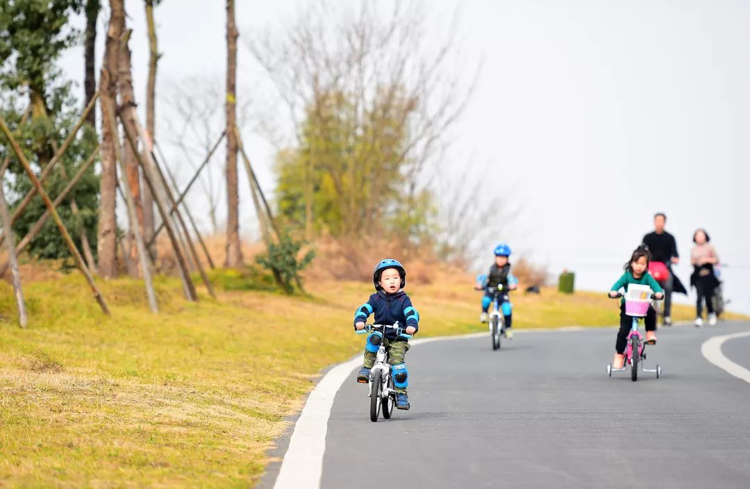 成都有锦城湖公园吗,成都锦城公园简介