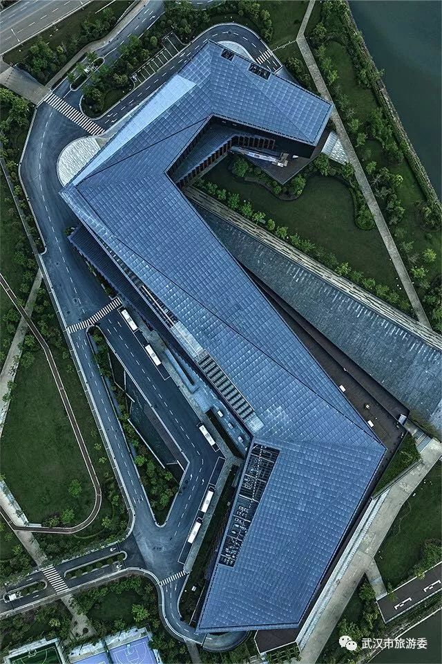 来武汉读书第一年,来武汉上大学的理由