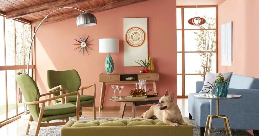 狗粮的历史来历,狗粮发展史大全