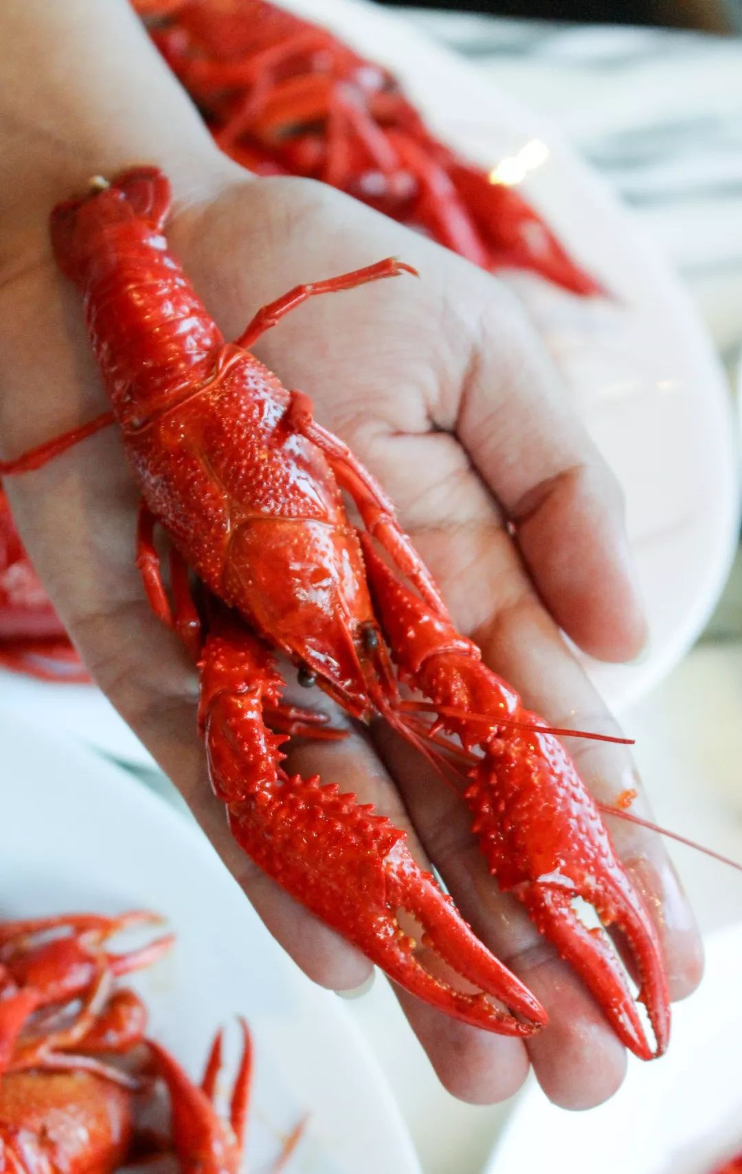 ¥498起/2位|西湖畔传奇酒店!6种口味小龙虾+美国生蚝+澳牛不限量!千岛湖啤酒尽情畅饮