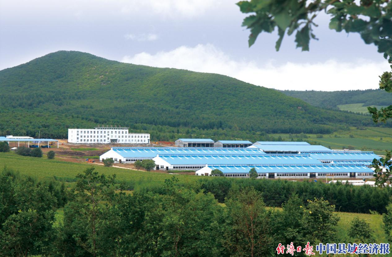 完达山品牌,完达山品牌怎么样