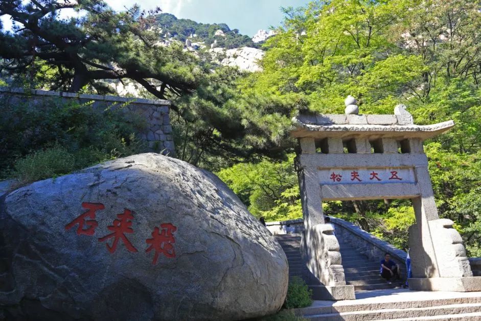 天下第一山泰山视频,天下第一山天子山