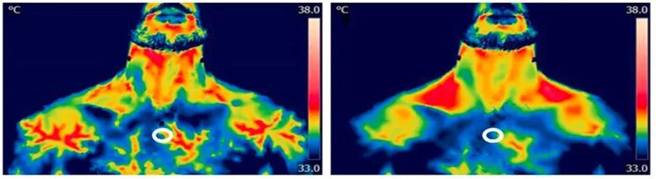 科学研究揭示喝咖啡减肥的秘密,咖啡有热量为什么能减肥