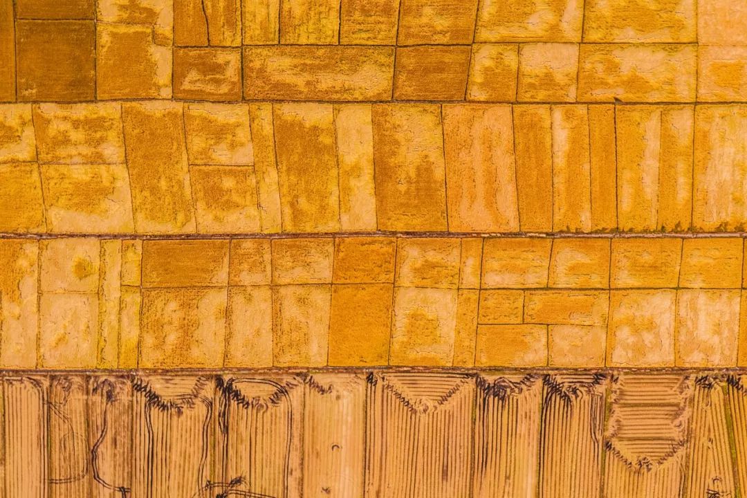 2.5浜垮勾鍚庣殑鍦扮悆鍙樺寲,涓滃寳鐏北鎬庝箞鍙樻垚绮粨