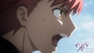 命运之夜天之杯迷失之蝶剧场版,命运之夜天之杯2迷失之蝶樱花