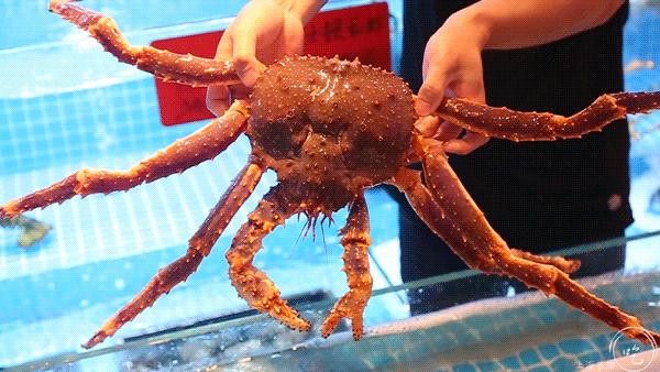 100多就能吃一顿港式打边炉,人均100让你吃个够的海鲜自助餐