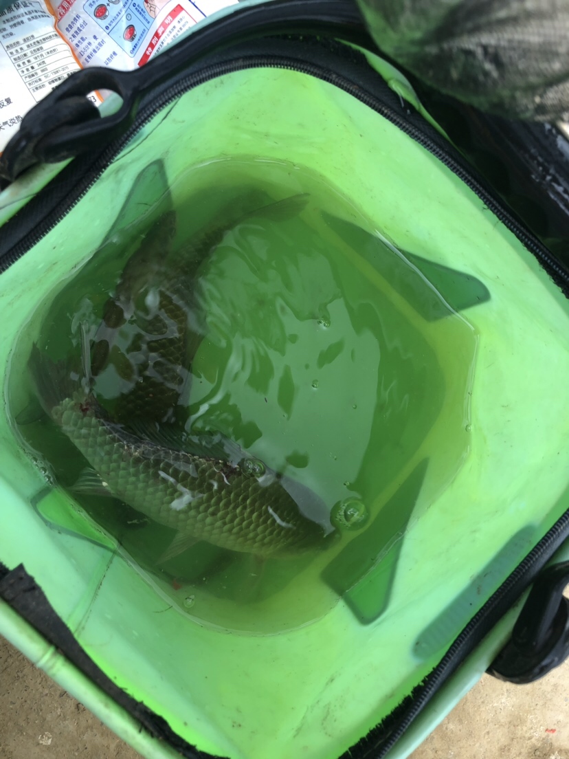 风大浪大好钓海鱼吗,风大浪大钓底还是钓浮