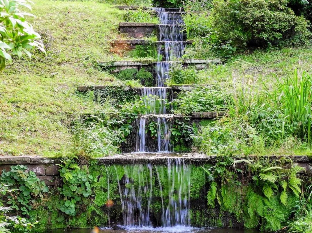 「旅游」喜欢烘焙的小伙伴当心啦！这款蛋糕用错原料可能面临牢狱之灾