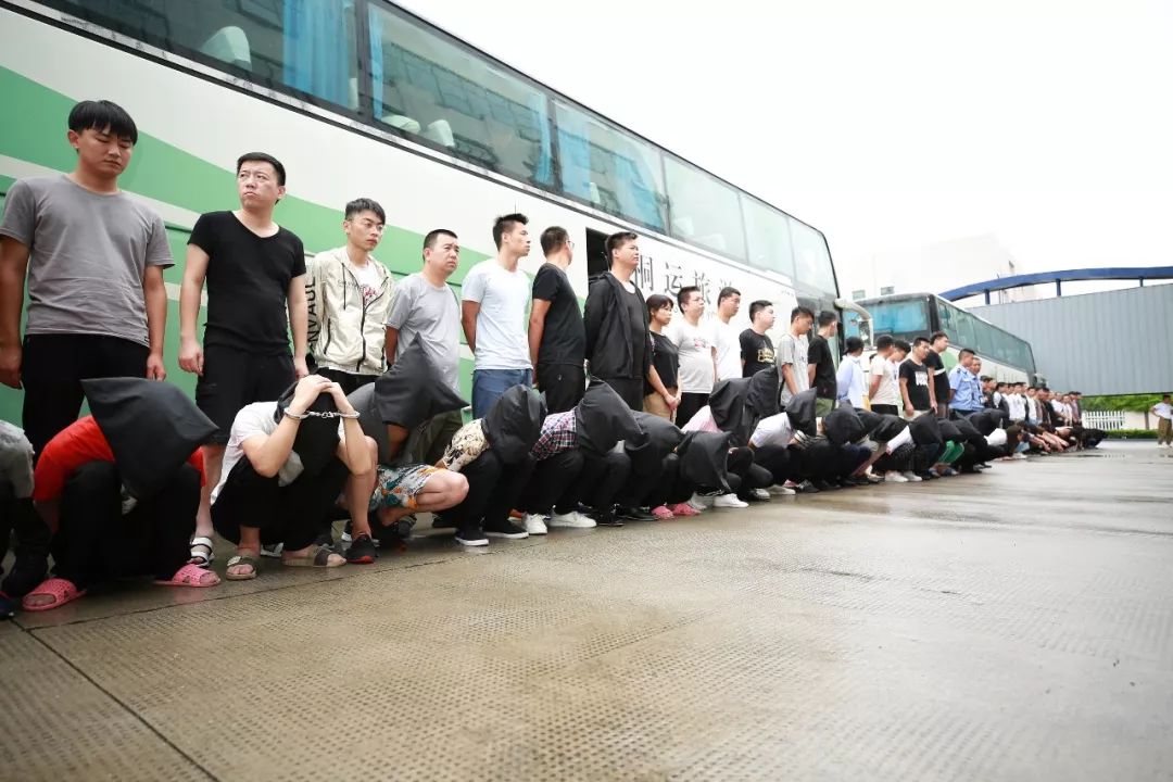 平安桐乡反诈防骗2号,公安监管反诈