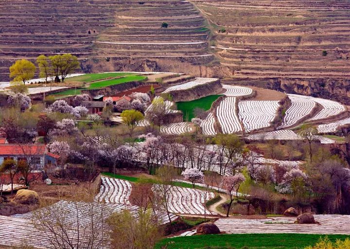 为什么叫甘肃,甘肃为什么叫河西走廊