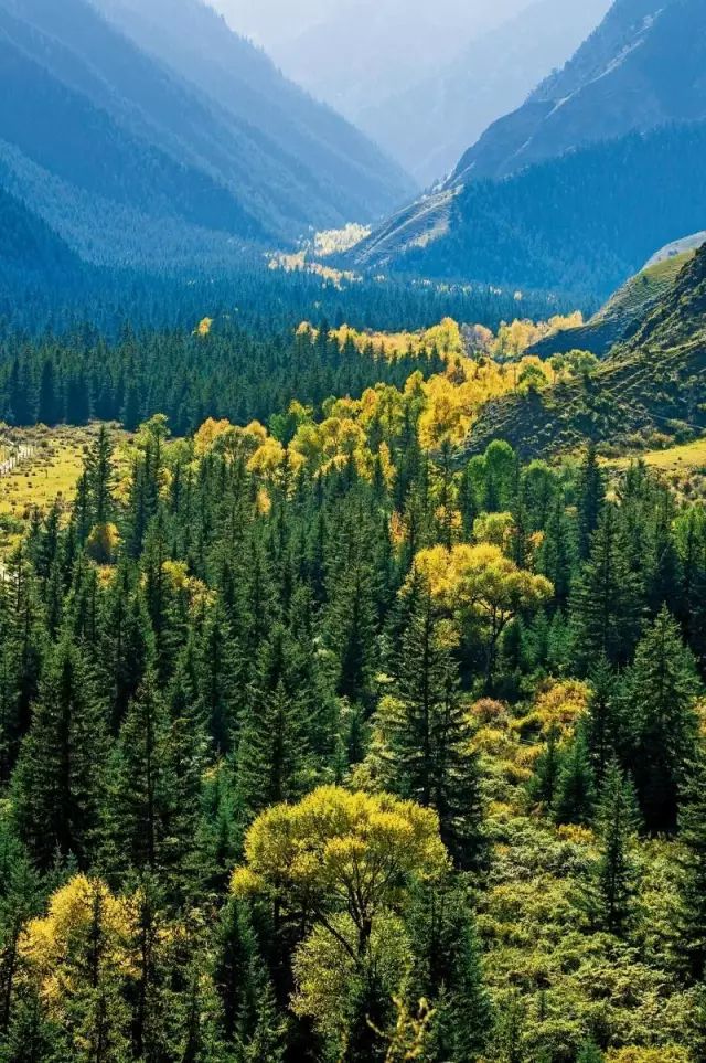 为什么叫甘肃,甘肃为什么叫河西走廊