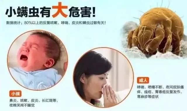 你晒被子10次，比不上我用它喷一回！除螨99%，裸睡都可以