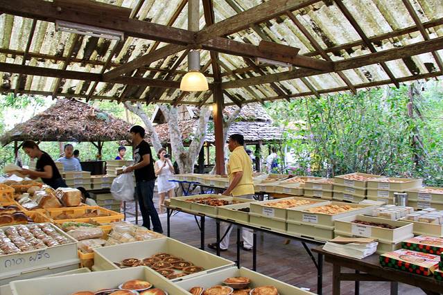 清迈漫游,清迈4天行程