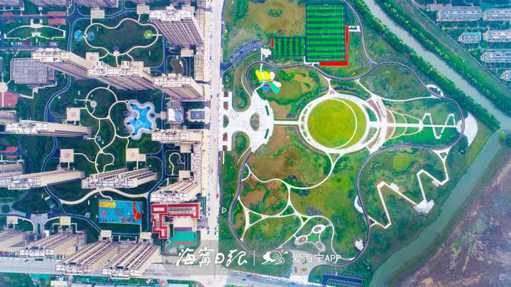 阳光大草坪,阳光大草坪在哪