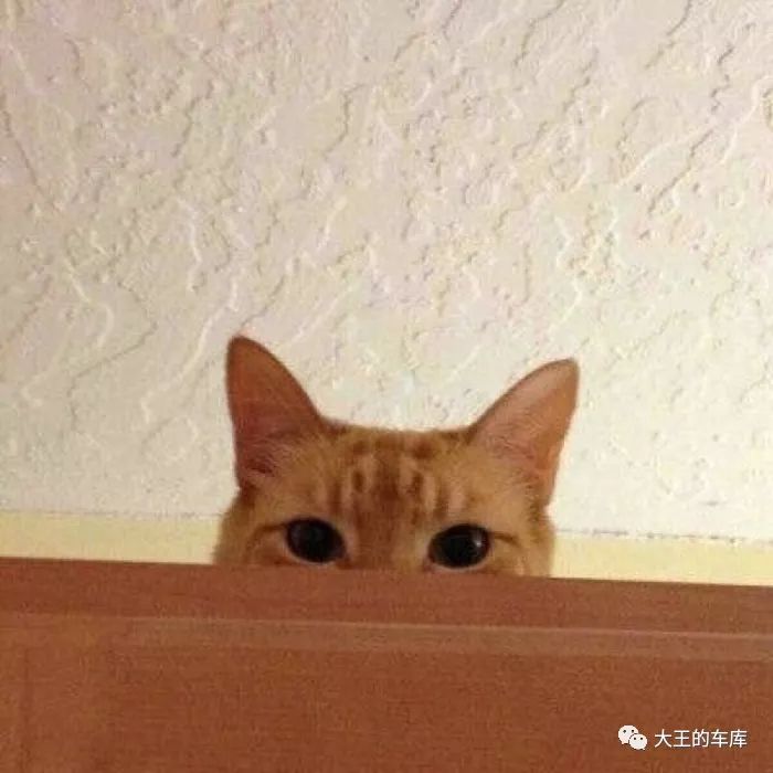 国产硬派拉力车推荐,新上市的国产拉力车