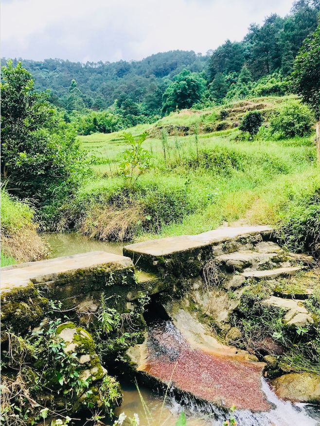 德庆乡村马拉松报名查询,广东德庆第二届乡村马拉松