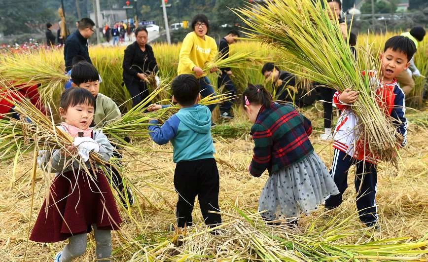 德庆乡村马拉松报名查询,广东德庆第二届乡村马拉松