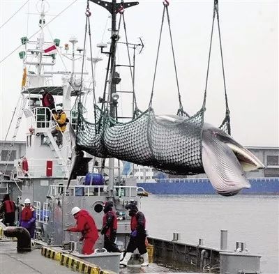 每天3分钟尽览天下事（微信、支付宝可免费申领ETC/年底前，河南又有5条高速要通车/本月郑州有9场主题招聘会等你来）