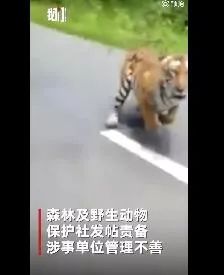 每天3分钟尽览天下事（微信、支付宝可免费申领ETC/年底前，河南又有5条高速要通车/本月郑州有9场主题招聘会等你来）