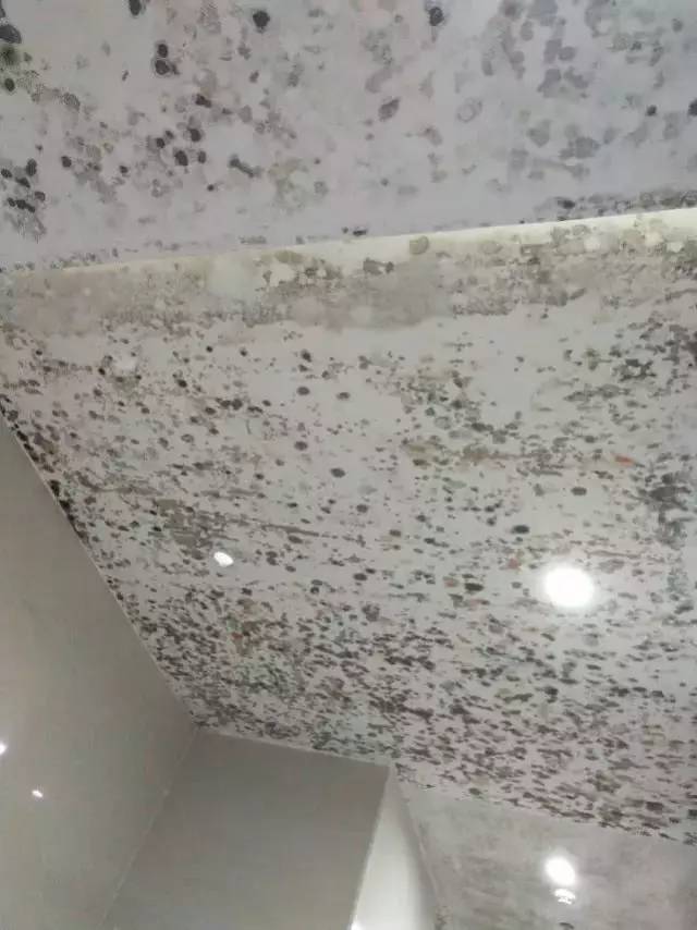 业主投诉电梯安装梯控怎么回复,业主投诉小区电梯维修费谁出