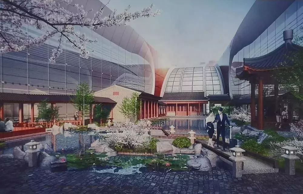 外国人震惊北京大兴机场建造速度,北京大兴国际机场报道视频