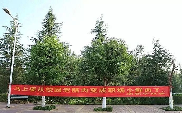 催人泪下的毕业横幅,本科毕业典礼横幅