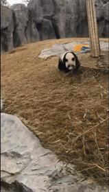 丽江药店招聘网最新招聘信息,最近丽江私人药店招聘