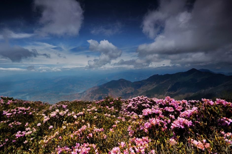 千年古城|不去会理,不知古城之大美!