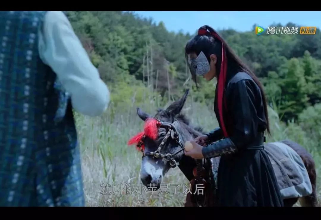 为什么都说陈情令好看,陈情令到底哪里好看