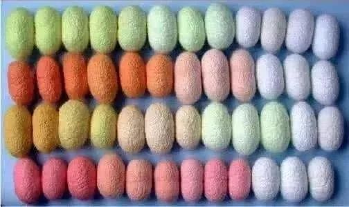 蚕宝宝怎么制作成丝绸,蚕如何变成丝绸