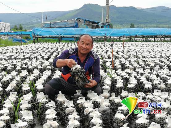 木耳之乡汪清县,汪清县木耳种植