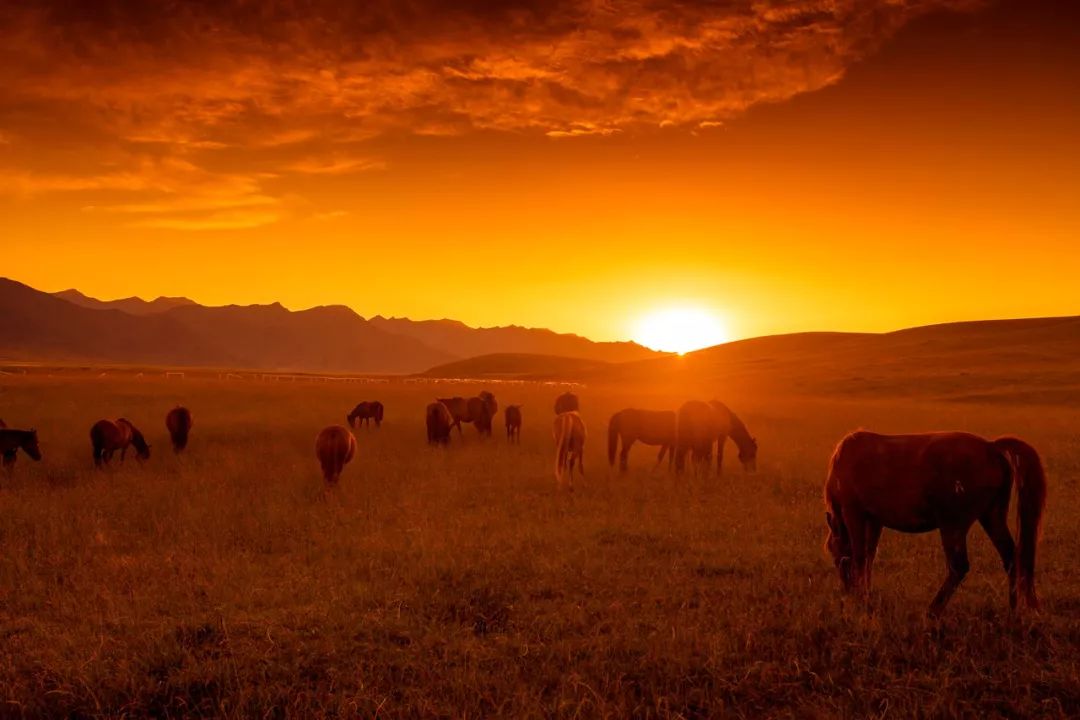 张掖的由来,什么是张掖