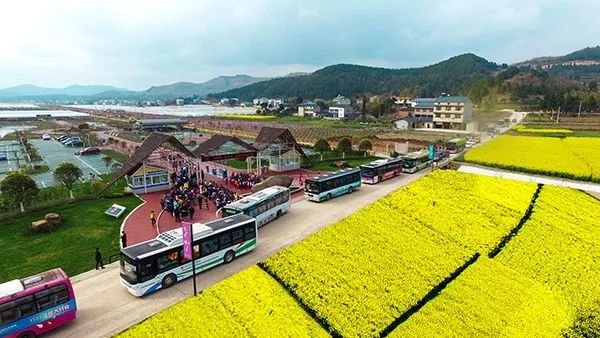 绵阳仙海旅游必买清单,绵阳来仙海