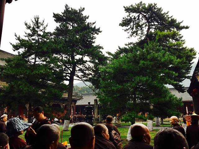 五台山游记200字,五台山七日朝拜攻略