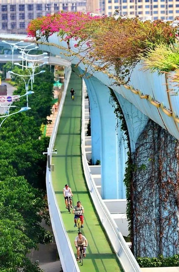 高空看厦门岛全景,厦门空中风景