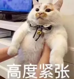 孩子期末考试成绩不理想家长反思,小学生期末考试成绩让家长崩溃