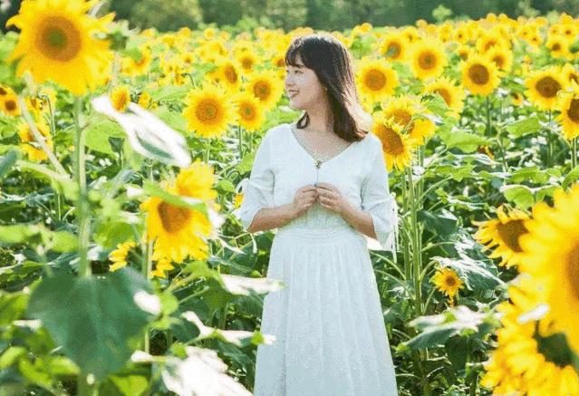 寻乡·觅趣||金色花海、花田美食...游仙芙蓉花溪葵花节等你来狂欢！