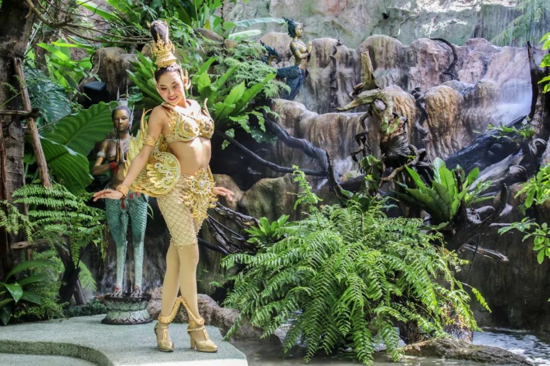 普吉岛旅游自由行推荐哪个酒店,普吉岛值得打卡酒店