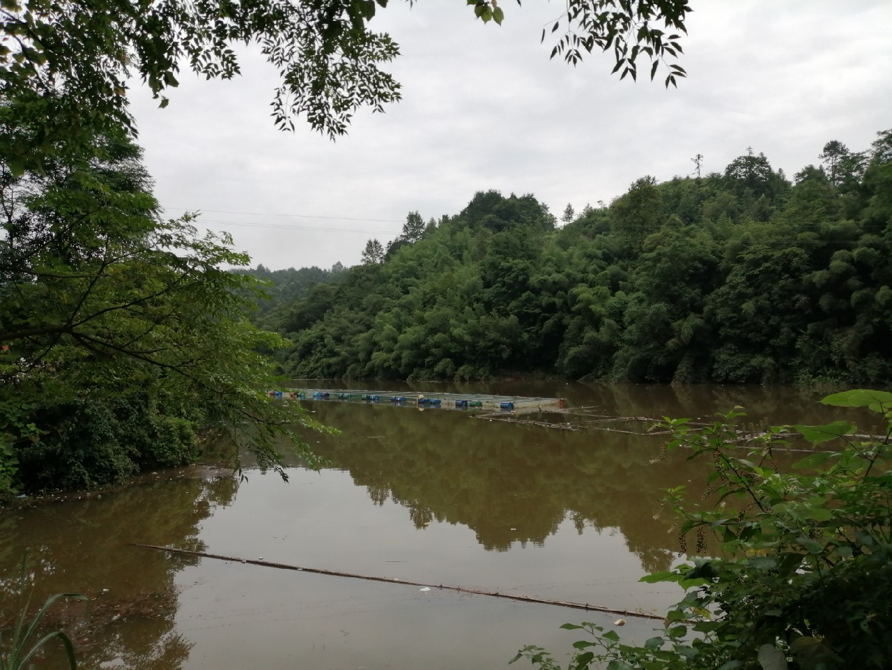 海竿篇：吟龙剑岀鞘擒鲢显风骚